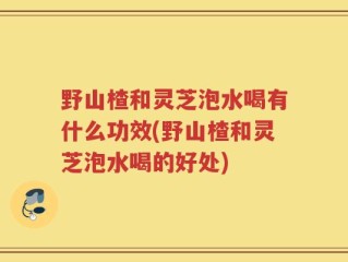 野山楂和灵芝泡水喝有什么功效(野山楂和灵芝泡水喝的好处)