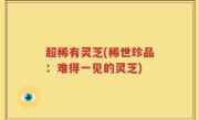 超稀有灵芝(稀世珍品：难得一见的灵芝)