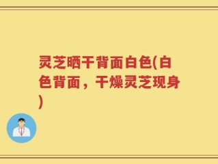 灵芝晒干背面白色(白色背面，干燥灵芝现身)