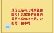 灵芝三萜有几种颜色和图片？灵芝孢子粉里的灵芝三萜和总三萜，说的是一回事吗