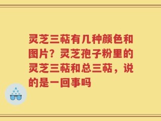 灵芝三萜有几种颜色和图片？灵芝孢子粉里的灵芝三萜和总三萜，说的是一回事吗