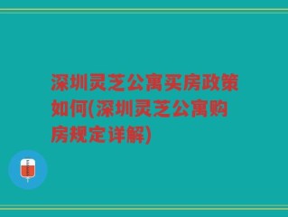 深圳灵芝公寓买房政策如何(深圳灵芝公寓购房规定详解)