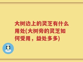 大树边上的灵芝有什么用处(大树旁的灵芝如何受用，益处多多)