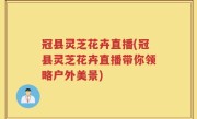 冠县灵芝花卉直播(冠县灵芝花卉直播带你领略户外美景)