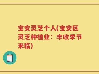 宝安灵芝个人(宝安区灵芝种植业：丰收季节来临)