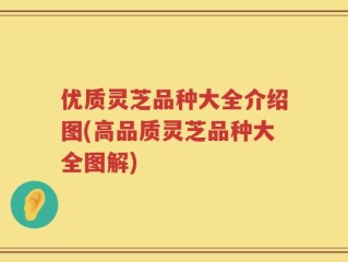 优质灵芝品种大全介绍图(高品质灵芝品种大全图解)