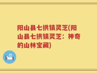 阳山县七拱镇灵芝(阳山县七拱镇灵芝：神奇的山林宝藏)