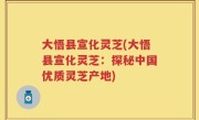 大悟县宣化灵芝(大悟县宣化灵芝：探秘中国优质灵芝产地)