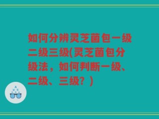 如何分辨灵芝菌包一级二级三级(灵芝菌包分级法，如何判断一级、二级、三级？)