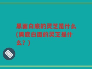 黑面白底的灵芝是什么(黑底白面的灵芝是什么？)