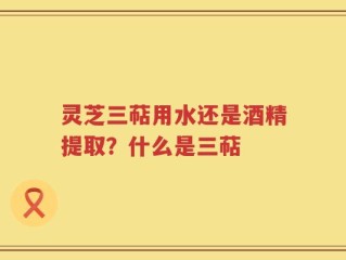 灵芝三萜用水还是酒精提取？什么是三萜