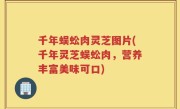 千年蜈蚣肉灵芝图片(千年灵芝蜈蚣肉，营养丰富美味可口)