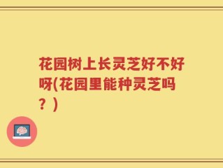 花园树上长灵芝好不好呀(花园里能种灵芝吗？)