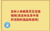 吉林人参鹿茸灵芝泡酒视频(用吉林名贵中草药泡制的酒品味独特)