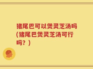 猪尾巴可以煲灵芝汤吗(猪尾巴煲灵芝汤可行吗？)