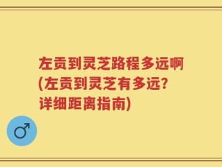 左贡到灵芝路程多远啊(左贡到灵芝有多远？详细距离指南)