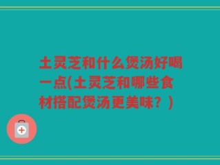 土灵芝和什么煲汤好喝一点(土灵芝和哪些食材搭配煲汤更美味？)