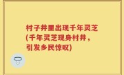 村子井里出现千年灵芝(千年灵芝现身村井，引发乡民惊叹)