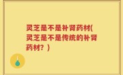 灵芝是不是补肾药材(灵芝是不是传统的补肾药材？)