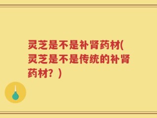 灵芝是不是补肾药材(灵芝是不是传统的补肾药材？)