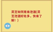灵芝如何用来泡酒(灵芝泡酒好处多，快来了解！)