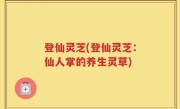 登仙灵芝(登仙灵芝：仙人掌的养生灵草)