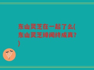 东山灵芝在一起了么(东山灵芝绯闻终成真？)