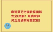 鹿茸灵芝泡酒教程图解大全(图解：用鹿茸和灵芝泡酒的完整教程)