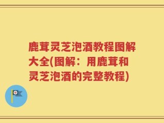 鹿茸灵芝泡酒教程图解大全(图解：用鹿茸和灵芝泡酒的完整教程)