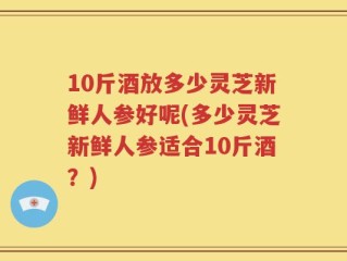 10斤酒放多少灵芝新鲜人参好呢(多少灵芝新鲜人参适合10斤酒？)