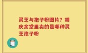灵芝与孢子粉图片？胡庆余堂里卖的是哪种灵芝孢子粉