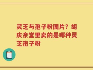灵芝与孢子粉图片？胡庆余堂里卖的是哪种灵芝孢子粉