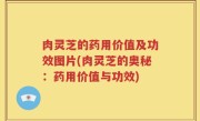 肉灵芝的药用价值及功效图片(肉灵芝的奥秘：药用价值与功效)
