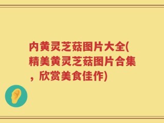 内黄灵芝菇图片大全(精美黄灵芝菇图片合集，欣赏美食佳作)