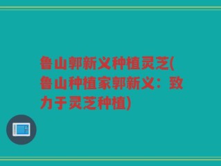 鲁山郭新义种植灵芝(鲁山种植家郭新义：致力于灵芝种植)