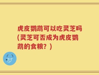 虎皮鹦鹉可以吃灵芝吗(灵芝可否成为虎皮鹦鹉的食粮？)