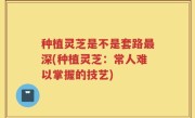 种植灵芝是不是套路最深(种植灵芝：常人难以掌握的技艺)