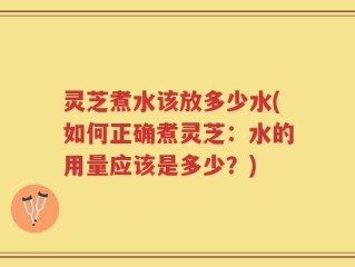 灵芝煮水该放多少水(如何正确煮灵芝：水的用量应该是多少？)