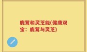 鹿茸和灵芝能(健康双宝：鹿茸与灵芝)