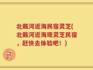 北戴河近海民宿灵芝(北戴河近海现灵芝民宿，赶快去体验吧！)