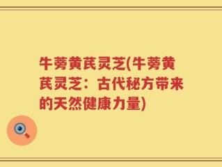 牛蒡黄芪灵芝(牛蒡黄芪灵芝：古代秘方带来的天然健康力量)