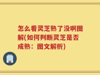 怎么看灵芝熟了没啊图解(如何判断灵芝是否成熟：图文解析)