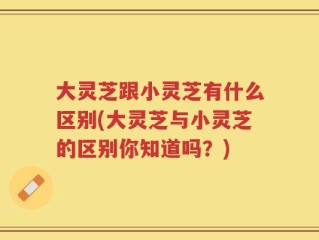 大灵芝跟小灵芝有什么区别(大灵芝与小灵芝的区别你知道吗？)