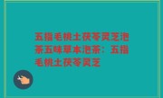 五指毛桃土茯苓灵芝泡茶五味草本泡茶：五指毛桃土茯苓灵芝