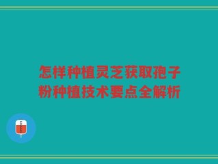 怎样种植灵芝获取孢子粉种植技术要点全解析