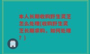 本人长期收购野生灵芝怎么处理(收购野生灵芝长期求购，如何处理？)