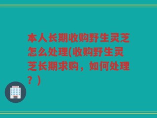 本人长期收购野生灵芝怎么处理(收购野生灵芝长期求购，如何处理？)