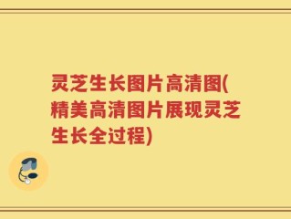 灵芝生长图片高清图(精美高清图片展现灵芝生长全过程)