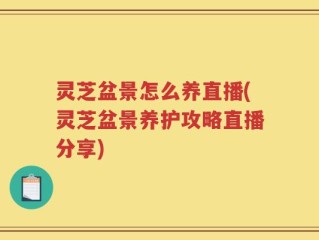 灵芝盆景怎么养直播(灵芝盆景养护攻略直播分享)