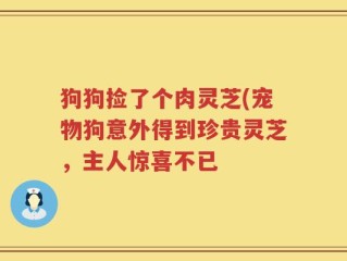 狗狗捡了个肉灵芝(宠物狗意外得到珍贵灵芝，主人惊喜不已